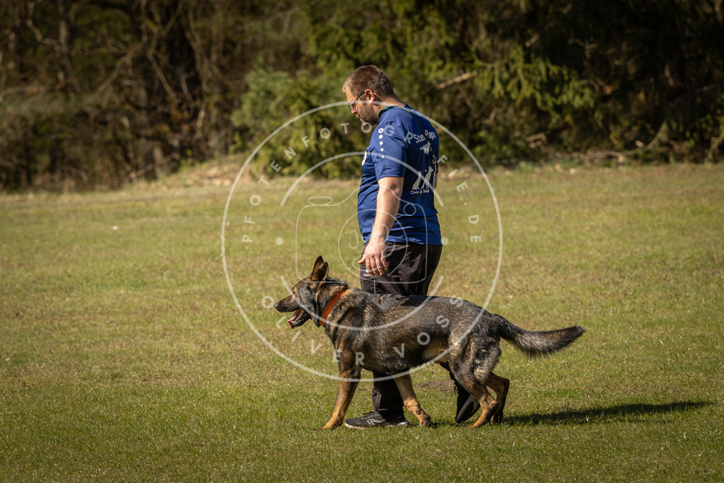 Pfotenfotografie_DV3A0812 | Hundefotografie, Tierfotograf, Pfotenfotografie, Fotoshooting Hund, Hunde Portrait, Hundesport, Hundeportraits, Heideshooting, Hunde, Sportfotograf, Hundefotograf, Turnierhundsport, THS,  - Realisiert mit Pictrs.com