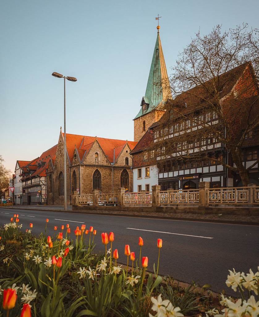 20250407-Friederike-Fuchs-2-2 | Entdecke exklusive Fotokunst aus Braunschweig: Bildband, Leinwände, Postkarten, Kalender, digitale Downloads & Bildlizenzen. Jetzt im offiziellen Beautiful Braunschweig Shop! - Realisiert mit Pictrs.com