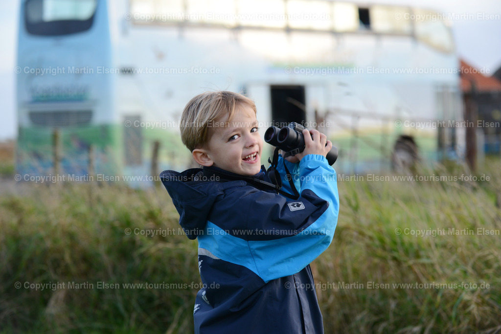 Vogelkieker Freiburg_ELS_4905 | Freiburg an der Elbe - Aufnahmedatum: 25.10.2015, Aufnahmehöhe:  m, Koordinaten:  - , Bildgröße: 7360 x  4912 Pixel - Copyright 2015 by Martin Elsen, Kontakt: Tel.: +49 157 74581206, E-Mail: info@schoenes-foto.deSchlagwörter:Vogelkieker,Bus,Kinder,Vogel,Vögel,Gänse,Nonnengänse,Wildgänse,Zugvögel,Außendeich,KVG,Natur,Wildganstage, Foto - Realisiert mit Pictrs.com