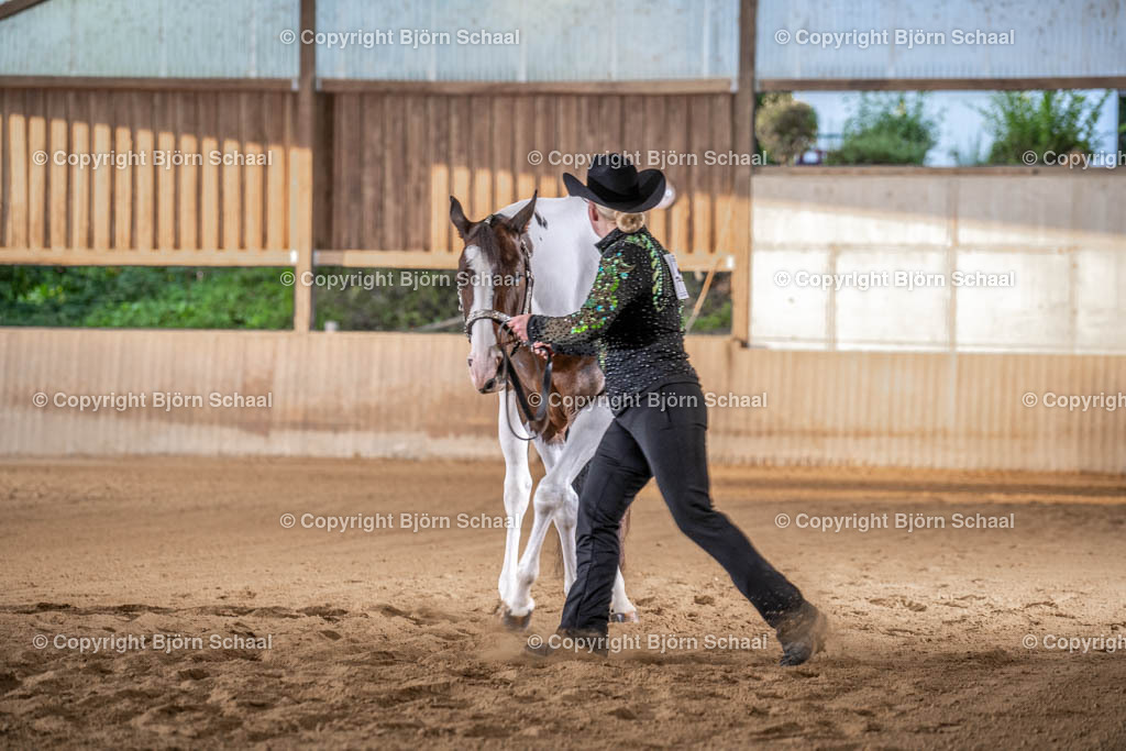 LMB07881 | BS-foto