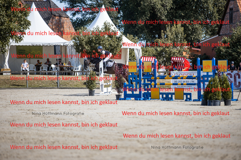 BK1A7011 | Turnierbilder Turnierfotos Nina Hüffmann Turnierfotografie Pferdefotografie Tierzeichnung Haustierzeichnung Pferdezeichnung Hundezeichnung Videograf  - Realisiert mit Pictrs.com
