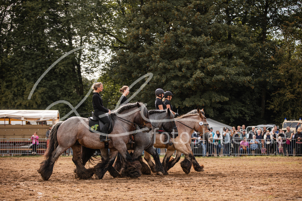 846A4020 | fotosleben - Realisiert mit Pictrs.com