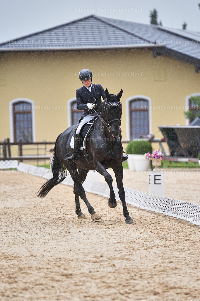 8_2-171-DRESSUR S_  -Marixx-4621 | working equitationturnier fotograf videograf stoibphotography marixx film working equitation deutschland reitsport turnierfotografie eventfotografie equestrian events