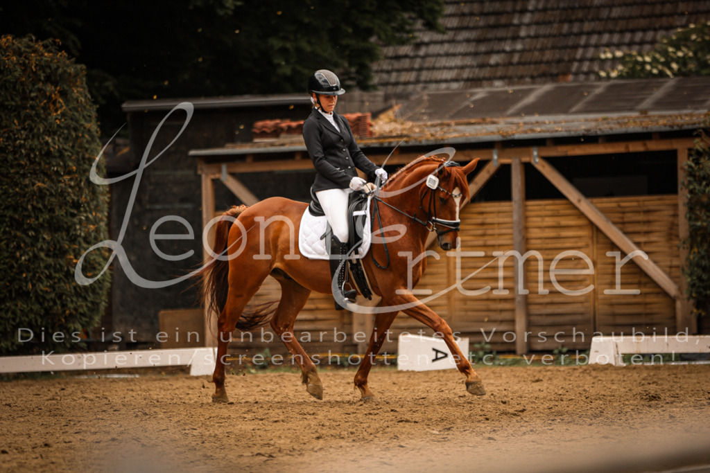 DoDrE00248 | Leoni Ertmer Photography - Realisiert mit Pictrs.com