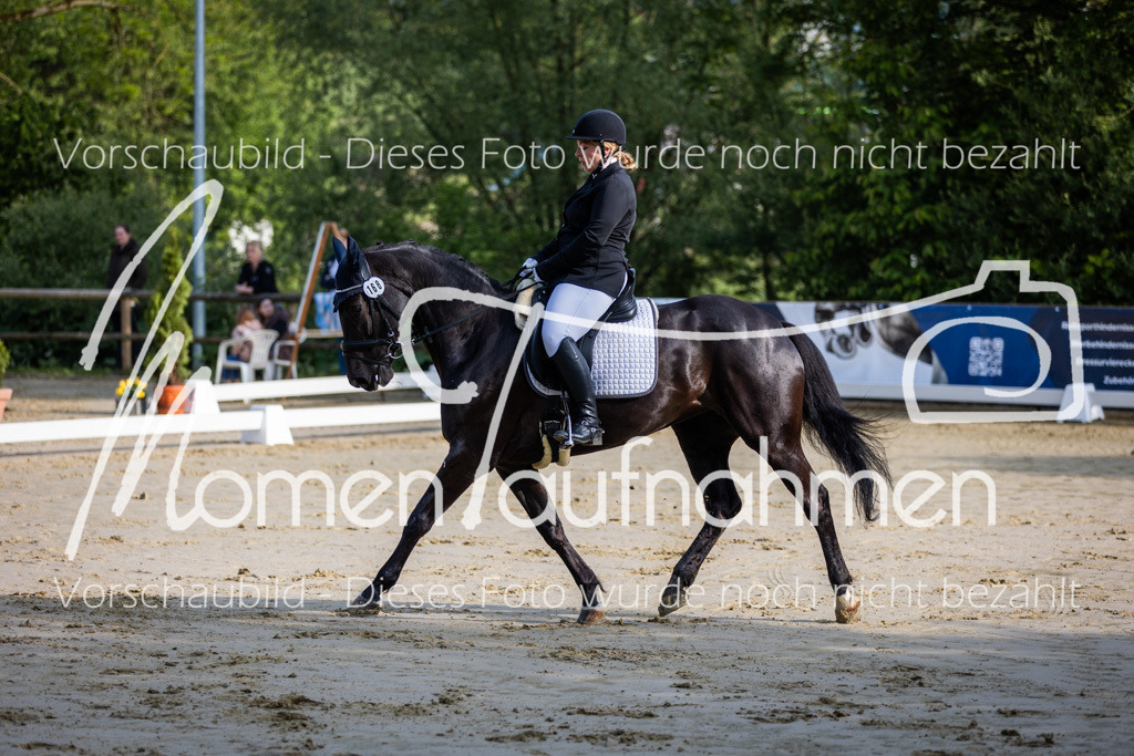 Donop24-A-Dre-013 | MomenTaufnahmen Pferdesportfotos