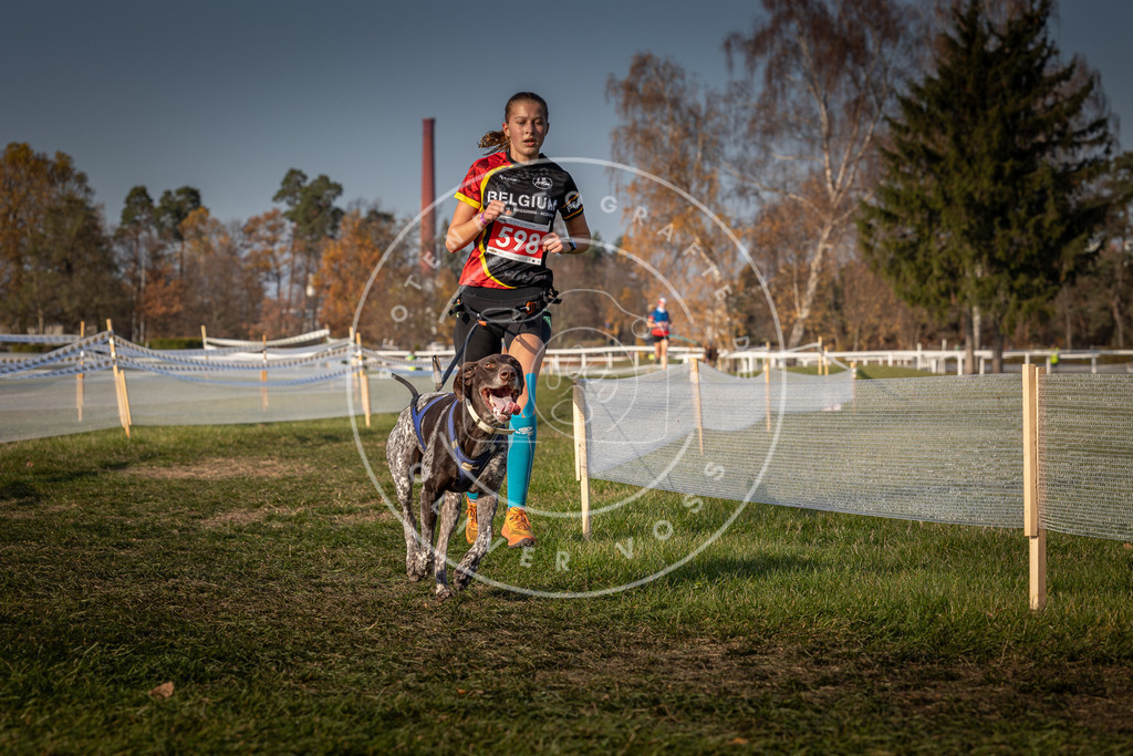 CaniXpix_0L8A9940 | Hundefotografie, Tierfotograf, Pfotenfotografie, Fotoshooting Hund, Hunde Portrait, Hundesport, Hundeportraits, Heideshooting, Hunde, Sportfotograf, Hundefotograf, Turnierhundsport, THS,  - Realisiert mit Pictrs.com