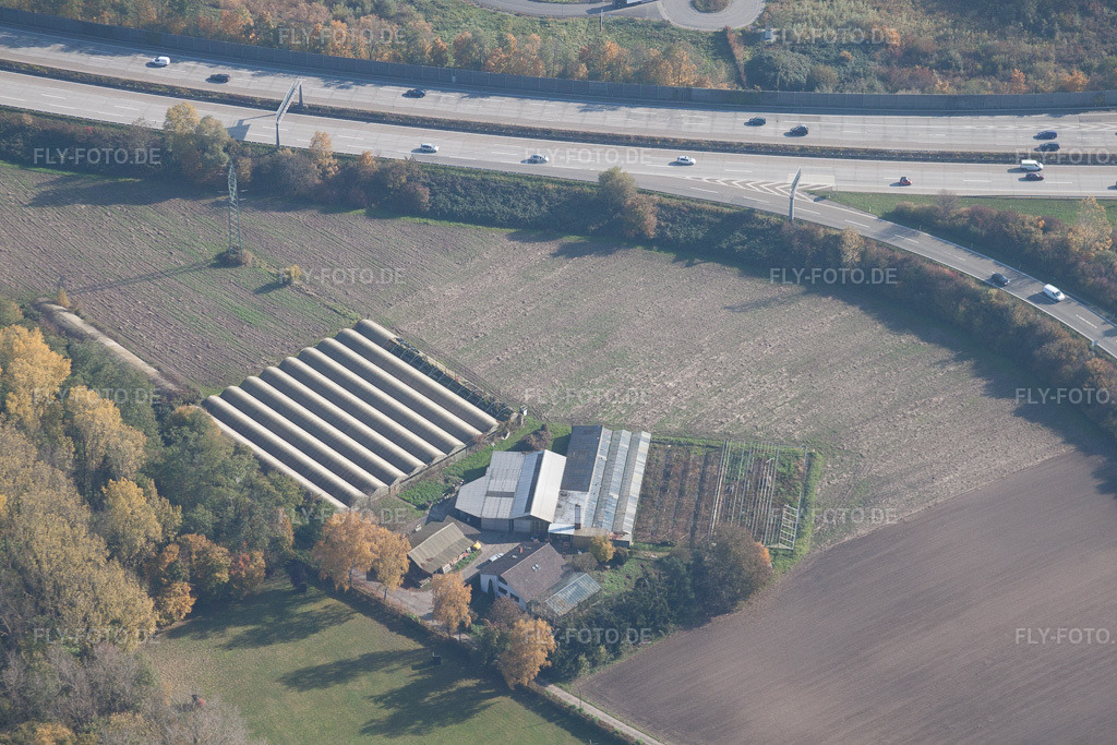 Luftbild: Edgar-Heller-Straße, Gärtnerei im Ortsteil Durlach in Karlsruhe im Bundesland Baden-Württemberg in Deutschland. Foto: IMG_35026.jpg vom 31.10.2010 durch Werner Riehm/FLY-FOTO.de