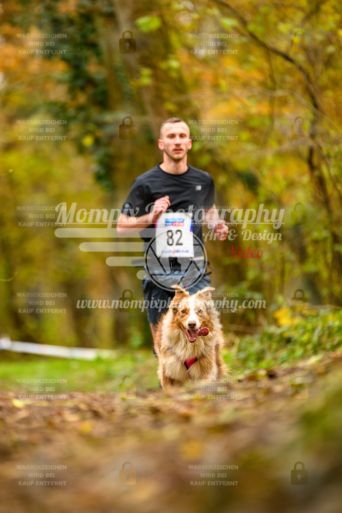 MompixPhotography_Bischwiller24_SA_Canicross-118 | PayLife