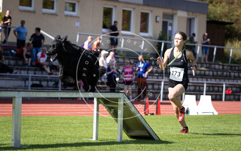 Pfotenfotografie_DV3A0033 | Hundefotografie, Tierfotograf, Pfotenfotografie, Fotoshooting Hund, Hunde Portrait, Hundesport, Hundeportraits, Heideshooting, Hunde, Sportfotograf, Hundefotograf, Turnierhundsport, THS,  - Realisiert mit Pictrs.com