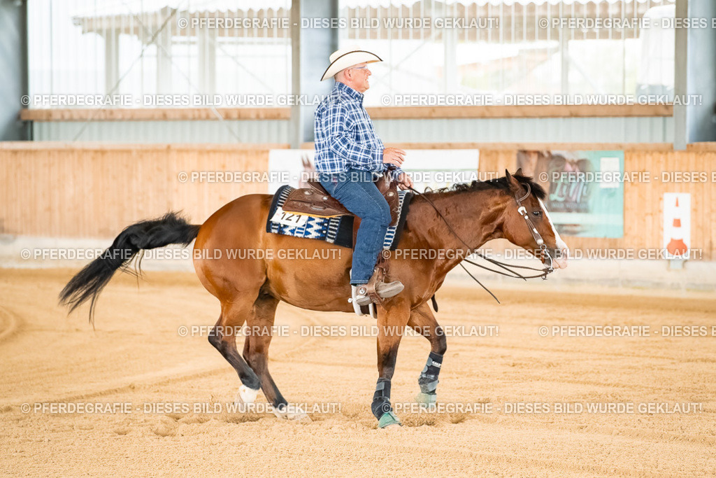 DSC01666 | Pferdegrafie