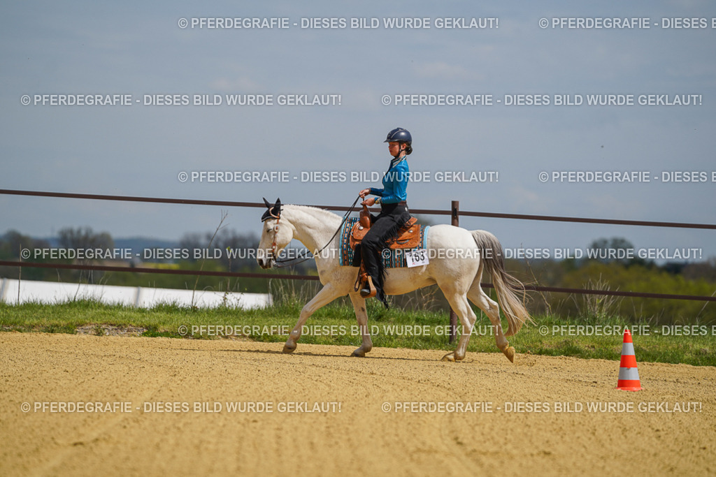 DSC05496 | Pferdegrafie