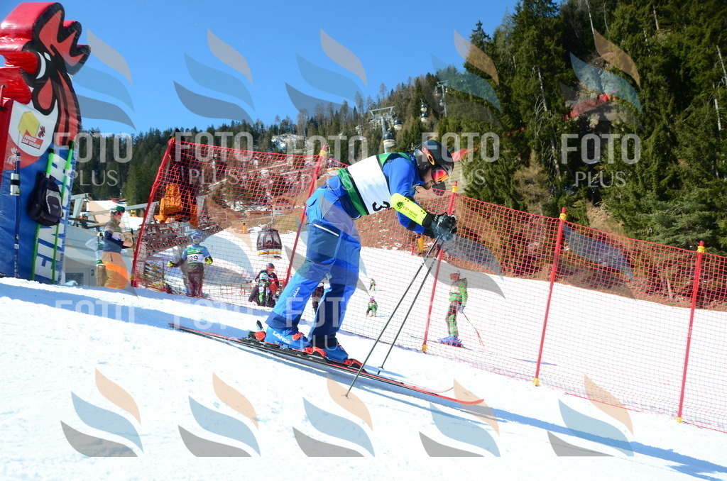 C6937 | holidayphoto