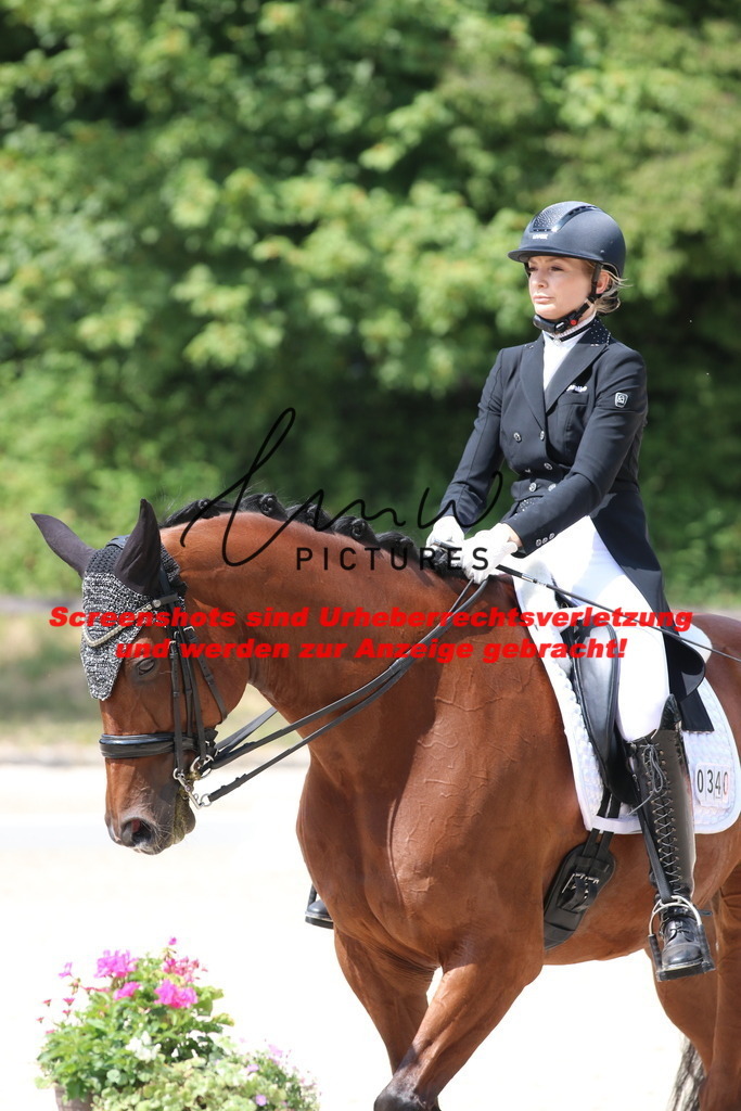 IMG_7538 | lmwpictures - Realisiert mit Pictrs.com