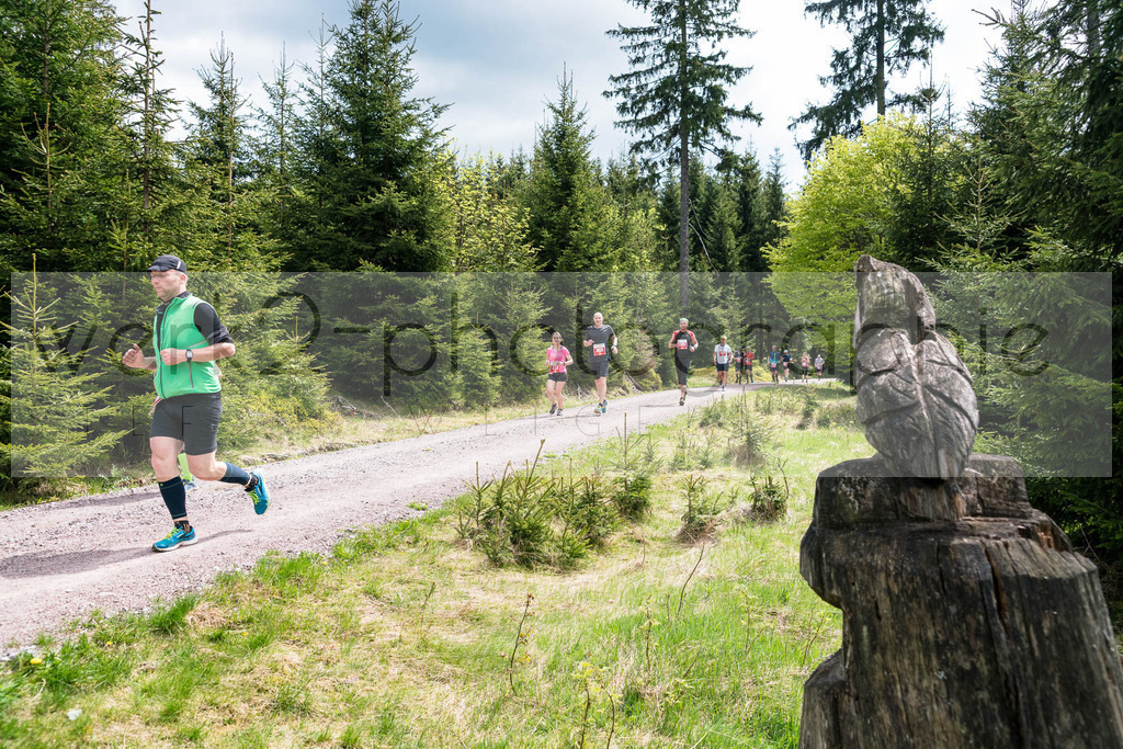 Rennsteiglauf 2019 | Marathon Neuhaus/Rwg. - Schmiedefeld am 18. Mai 2019
