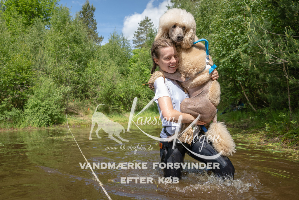 1217DKK992488 | kk-dogfotos