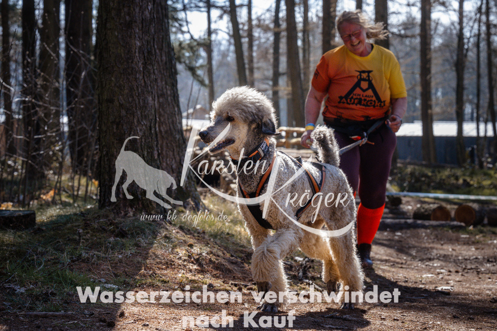 1150_ZZ90059 | kk-dogfotos
