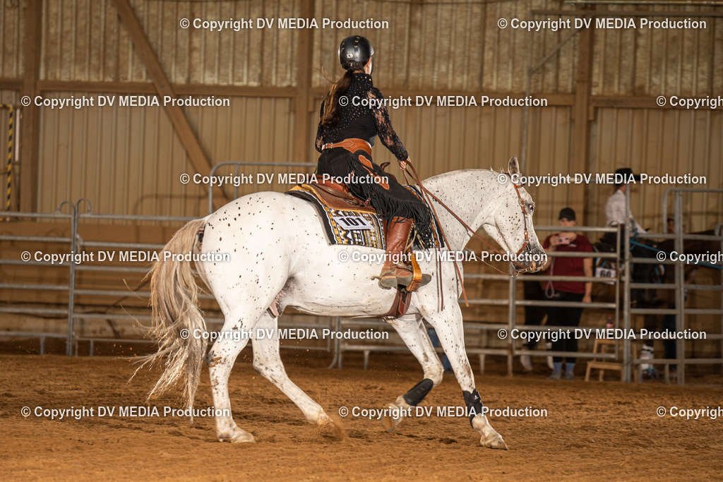 NID03948 | dv-media-shop - Realisiert mit Pictrs.com