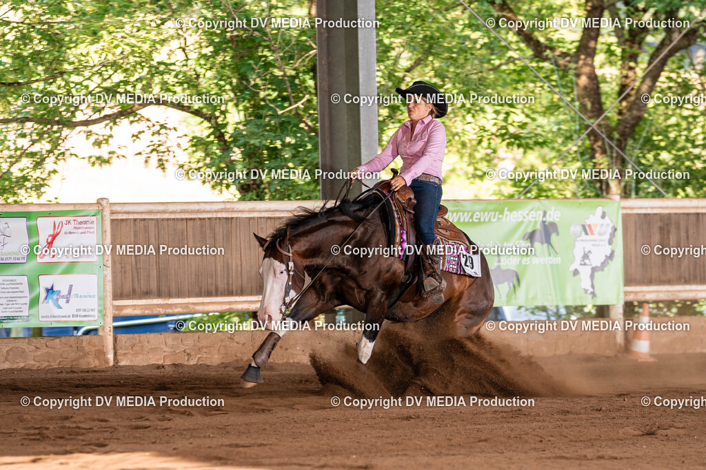 Erbach Tag 2-1068 | dv-media-shop - Realisiert mit Pictrs.com