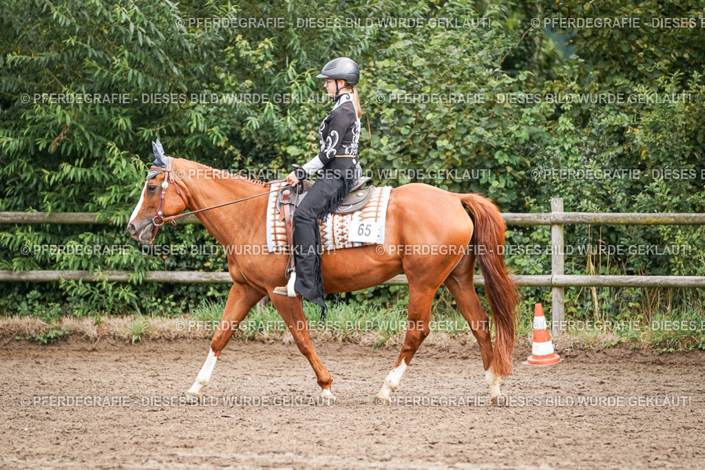 DSC04181 | Pferdegrafie