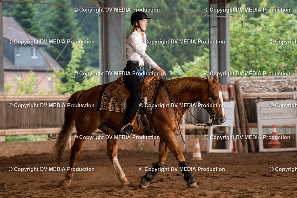 Erbach Tag 3-535 | dv-media-shop - Realisiert mit Pictrs.com