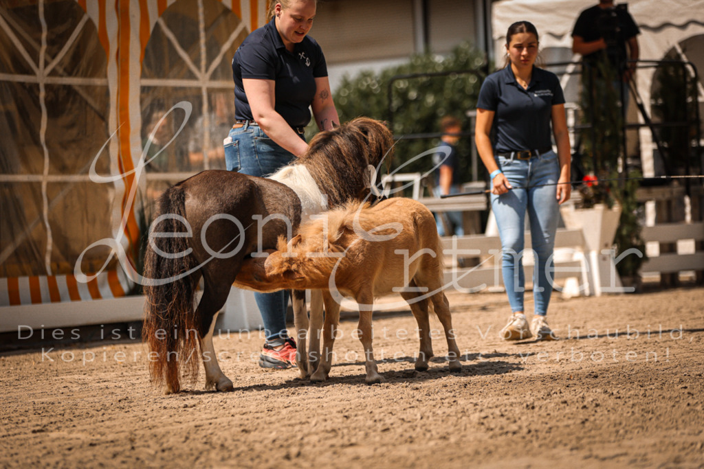 01.DoKR00012 | Leoni Ertmer Photography - Realisiert mit Pictrs.com