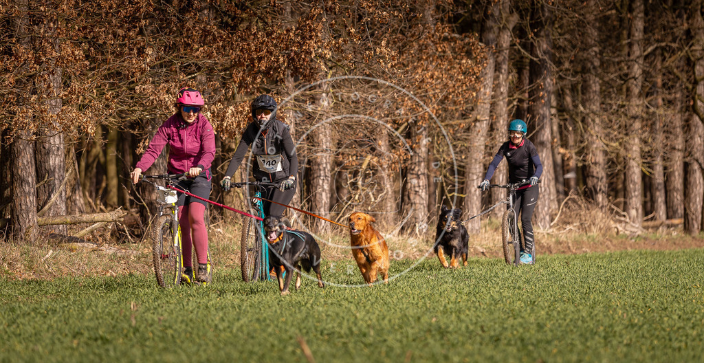 DV3A6108 | Hundefotografie, Tierfotograf, Pfotenfotografie, Fotoshooting Hund, Hunde Portrait, Hundesport, Hundeportraits, Heideshooting, Hunde, Sportfotograf, Hundefotograf, Turnierhundsport, THS,  - Realisiert mit Pictrs.com