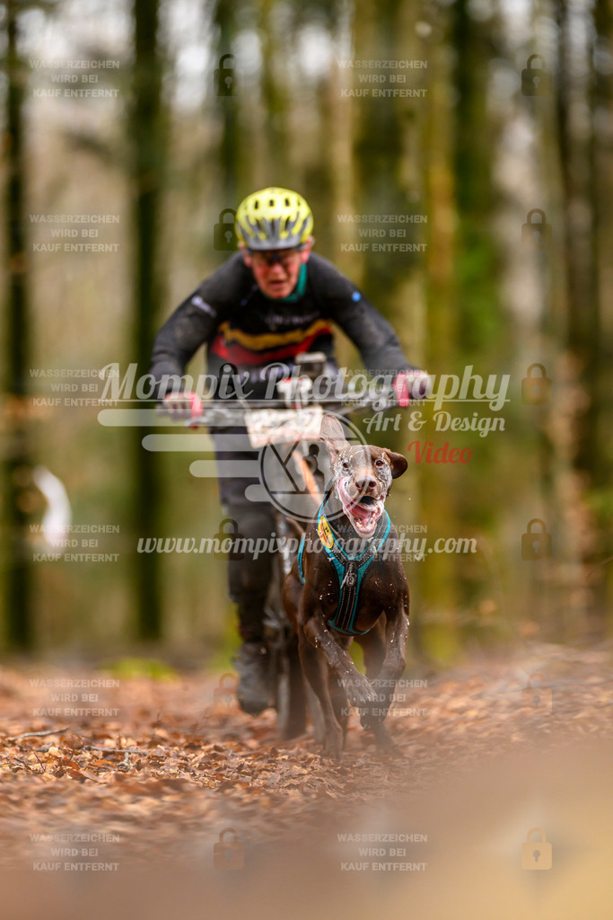 MompixPhotography_Habay2024_SA_Bike-30 | PayLife