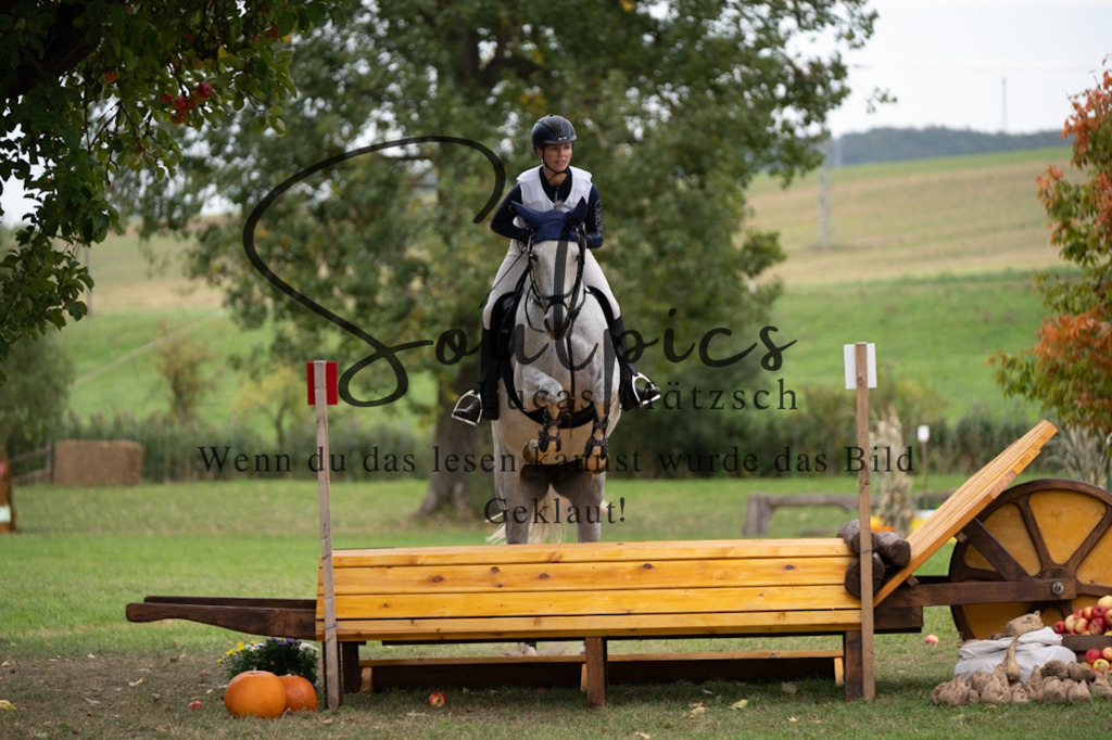 A7V03672 | Pferdefotograf