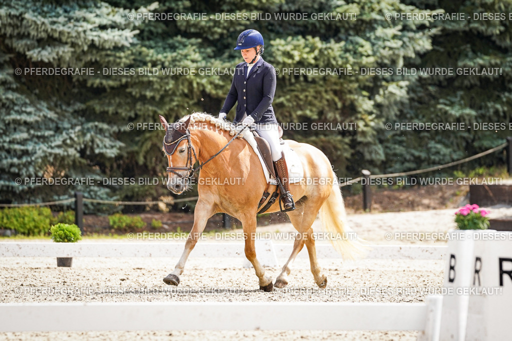 DSC09504 | Pferdegrafie