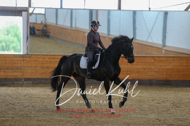 IMG_3744 | Turniersportfotografie; Pferdefotografie; Dressurfotografie