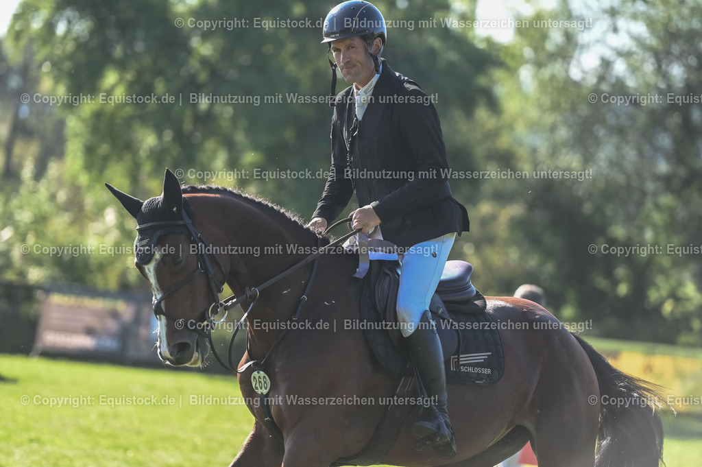 20230908_14-15_Springpferde-A_0148 | equistock