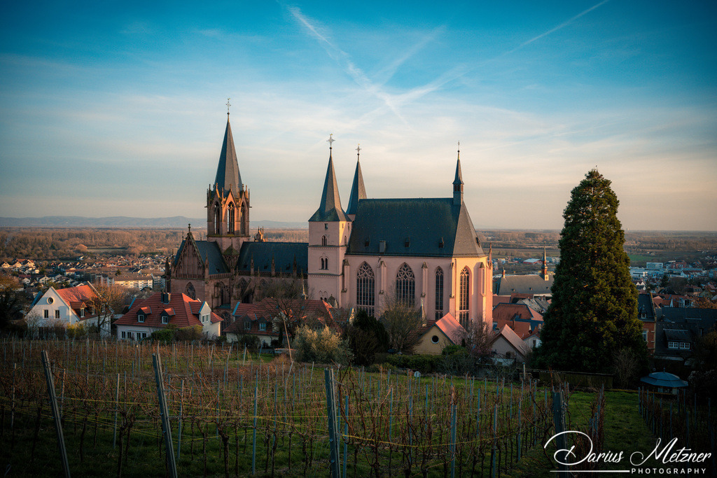 Katharinenkirche in Oppenheim | Die imposante Katharinenkirche in Oppenheim gilt als eine der bedeutendsten gotischen Kirchen am Rhein. Ihre Errichtung erfolgte in mehreren Bauabschnitten im 13., 14. und 15. Jahrhundert. Heute ist sie eine der schönsten Sehenswürdigkeiten in Rheinhessen.