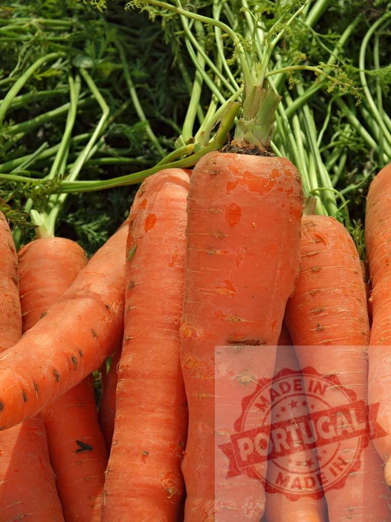 Fresh organic carrots with green tops at market | Freshly picked orange carrots displaying healthy green tops, ready for sale - Realized with Pictrs.com