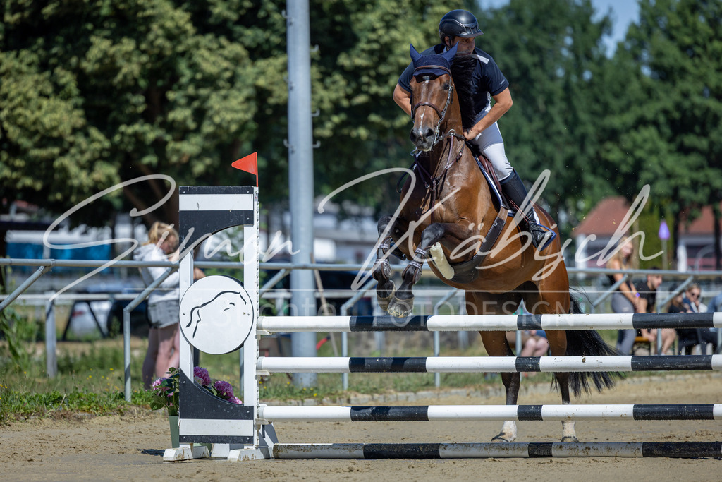 20260704-_3LI7644 | Tierfotografie Pferde, Hunde, Katzen, Haustiere.
Turnierfotografie Reitturniere, Reiten, Springreiten, Dressur in Hanau, dem Main-Kinzig-Kreis und dem Rhein-Main- Gebiet um Frankfurt