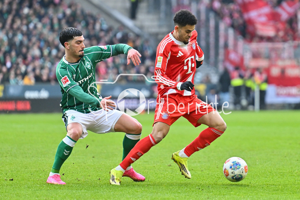 SV Werder Bremen - FC Bayern München | BREMEN, GERMANY - 14. FEBRUARY: im Duell Cameron PUERTAS CASTRO (SV Werder Bremen 18) und Luis DIAZ (FC Bayern Munich 14) während dem Bundesligamatch zwischen dem SV Werder Bremen und dem FC Bayern München am 22. Spieltag im Weserstadion / DFL REGULATIONS PROHIBIT ANY USE OF PHOTOGRAPHS AS IMAGE SEQUENCES AND/OR QUASI-VIDEO
