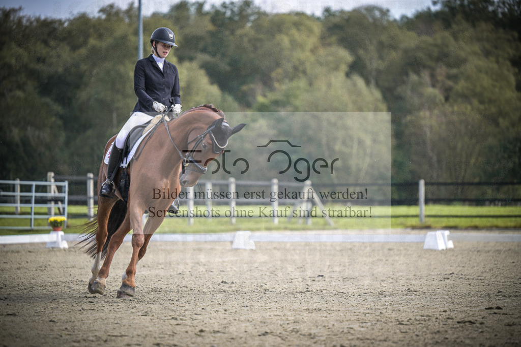 DOS_B659 | Entdecke hochwertige Reitturnierfotos von Foto Oger. Professionell, emotional und authentisch – jetzt Lieblingsmomente im Shop bestellen.Deutschlandweite Turnierfotografie. - Realisiert mit Pictrs.com