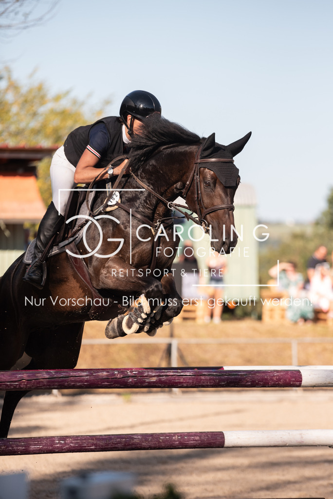 DSC_7973 | Turnierfotografin Carolin Gieschke, Turnierfotografie Carolin G Fotografie, Turnierfotos Kirchheim/Teck, Esslingen, Stuttgart, Bodenseekreis