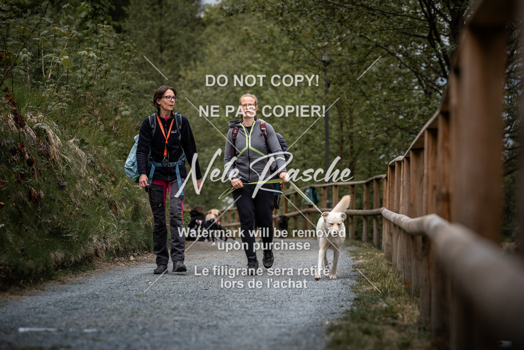 nelerasche_SaAbends_107 | nelerasche