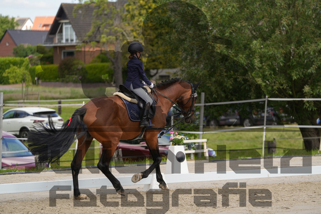 DSC03103 | Julian Held Fotografie - Realisiert mit Pictrs.com