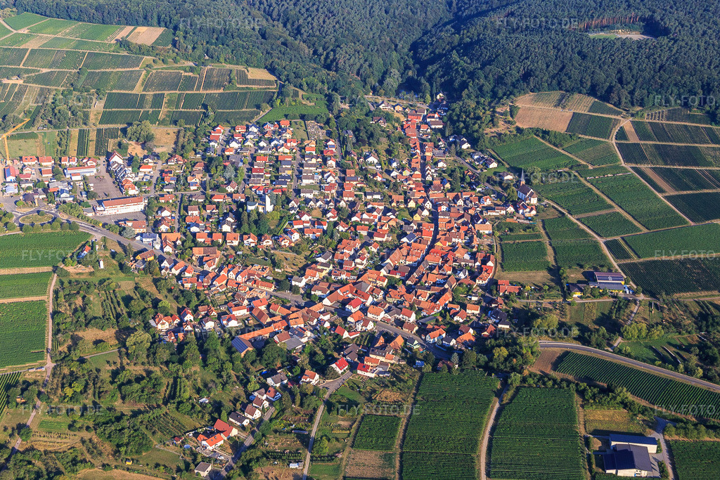 Luftbild: Ortsansicht von Osten im Ortsteil Rechtenbach in Schweigen-Rechtenbach im Bundesland Rheinland-Pfalz in Deutschland. Foto: IMG_122052.jpg vom 08.08.2020 durch Werner Riehm/FLY-FOTO.de