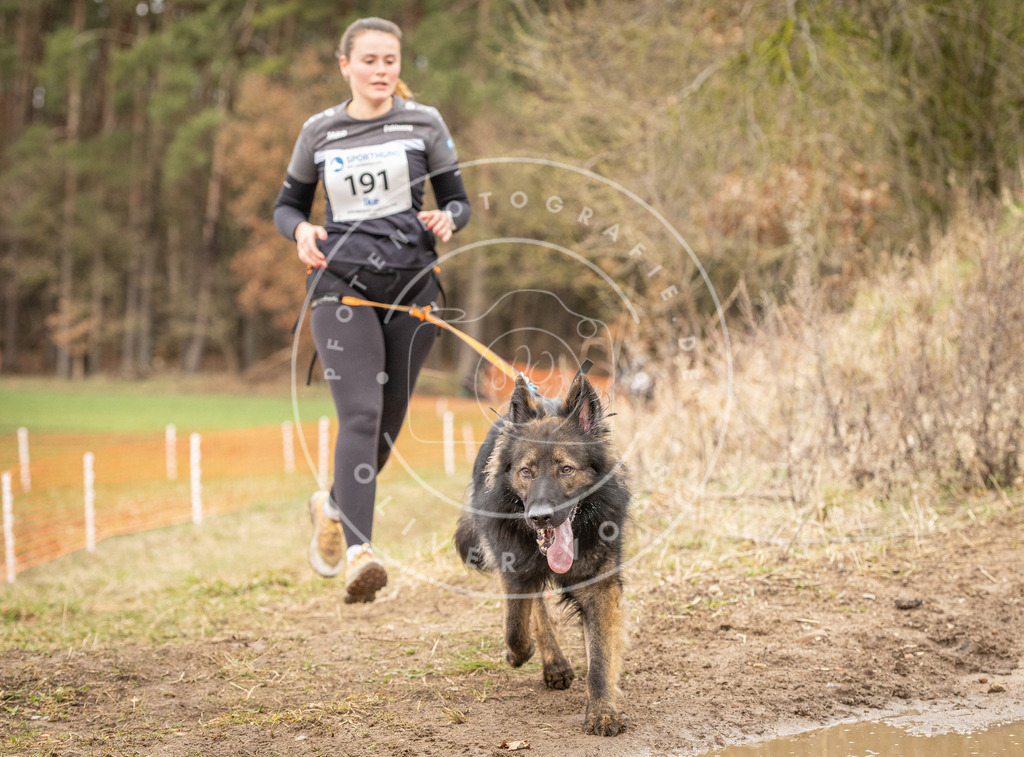 DV3A2705 | Hundefotografie, Tierfotograf, Pfotenfotografie, Fotoshooting Hund, Hunde Portrait, Hundesport, Hundeportraits, Heideshooting, Hunde, Sportfotograf, Hundefotograf, Turnierhundsport, THS,  - Realisiert mit Pictrs.com