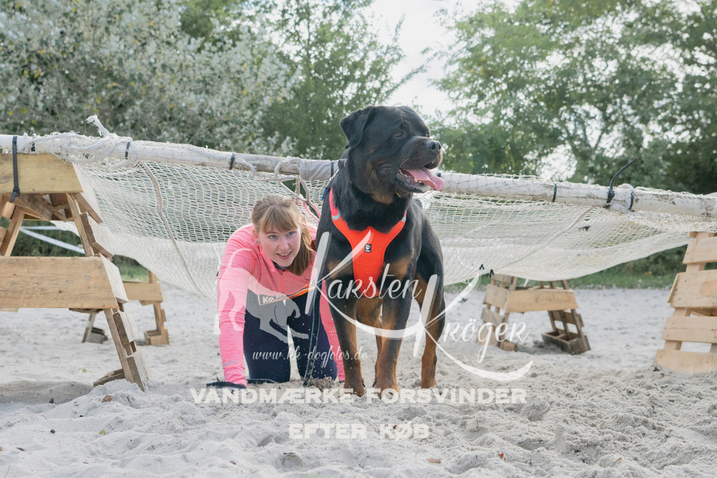 1338_ZZ98210 | kk-dogfotos