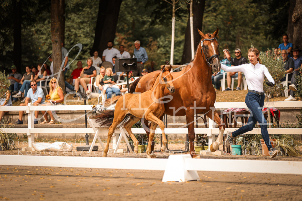 SaPA00025 | Leoni Ertmer Photography - Realisiert mit Pictrs.com