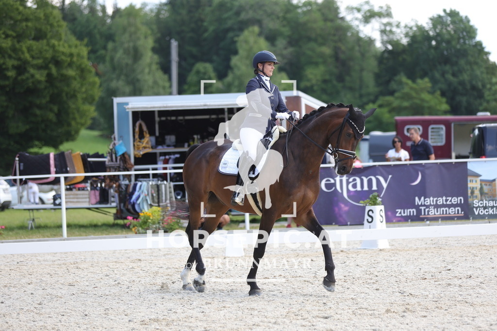 0P6A0720 | Willkommen bei Brunnmayr - Design & Fotografie – Ihrem Spezialisten für Reitturniere und Pferdeveranstaltungen in Oberösterreich, Salzburg und Bayern! Seit über 17 Jahren sind wir leidenschaftlich dabei.