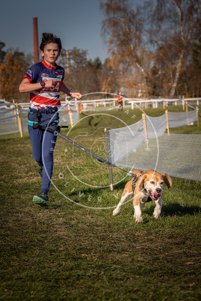 CaniXpix_0L8A7519 | Hundefotografie, Tierfotograf, Pfotenfotografie, Fotoshooting Hund, Hunde Portrait, Hundesport, Hundeportraits, Heideshooting, Hunde, Sportfotograf, Hundefotograf, Turnierhundsport, THS,  - Realisiert mit Pictrs.com