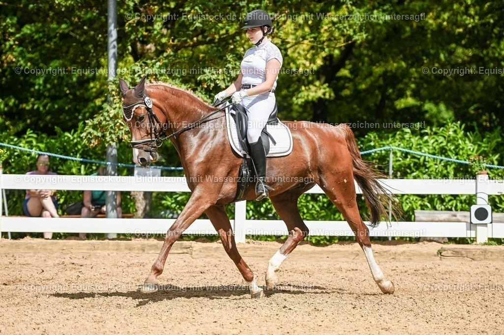 20230715_02_Dressurreiterprüfung Kl.L_0231 | equistock