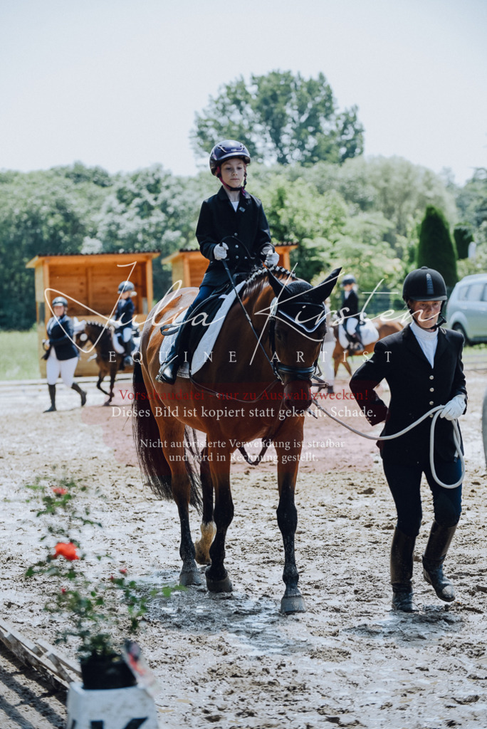DSC_2289 | Pferde- und Turnierfotografie in Westsachsen. Pferdeportraits, Auftragszeichnungen und intuitive Kunst.
