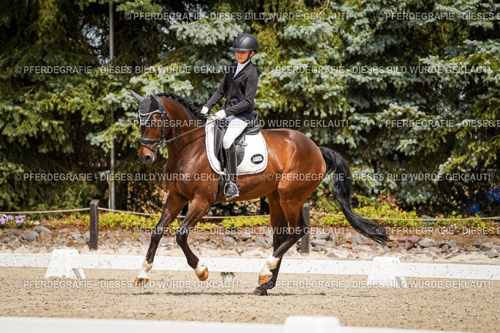 DSC03029 | Pferdegrafie