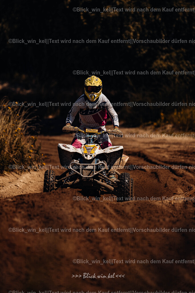 E68A8465 | blick_win_kel