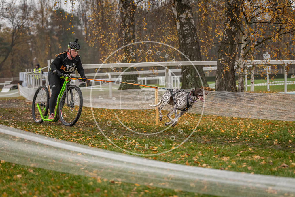 CaniXpix_DV3A7963 | Hundefotografie, Tierfotograf, Pfotenfotografie, Fotoshooting Hund, Hunde Portrait, Hundesport, Hundeportraits, Heideshooting, Hunde, Sportfotograf, Hundefotograf, Turnierhundsport, THS,  - Realisiert mit Pictrs.com